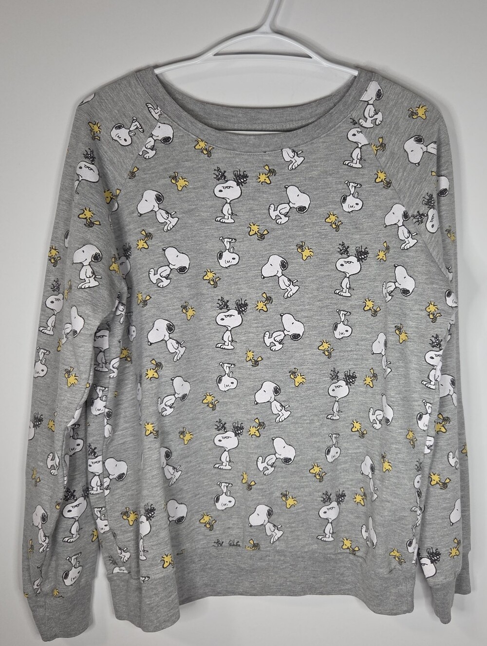 Peanuts Grey Sweatshirt with Snoopy & Woodstock Print